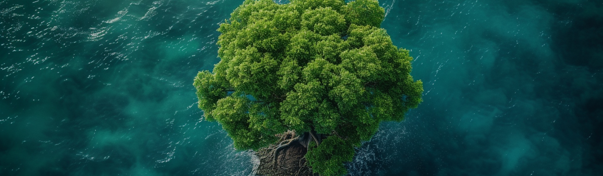 Ningbo Aikang Aluminium Foil Technology Co., Ltd.